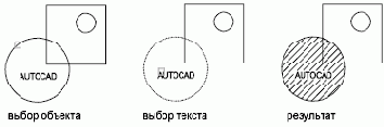   Autodesk

