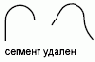   Autodesk
