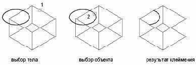   Autodesk

