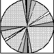 Microsoft Visual J++.       Java

