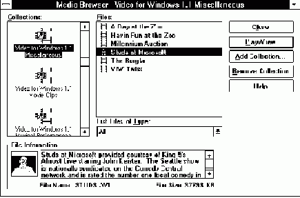 Microsoft Media Browser
