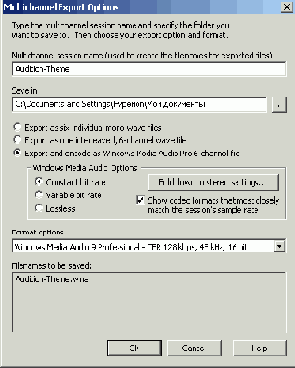          Multichannel Encoder